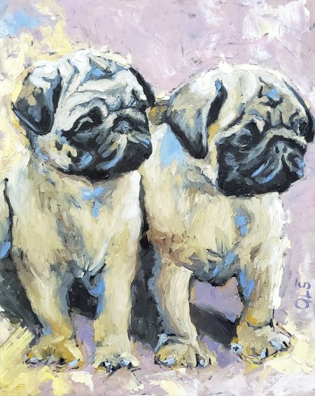 2 pugs